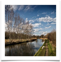 SPRING WALKIES - Des Hawley